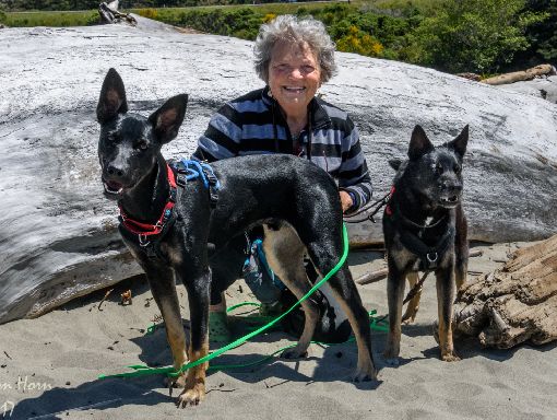 Kathryn and her two dogs