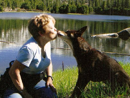 Human and dog bond