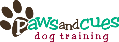 Dog training behavior services - San Francisco East Bay